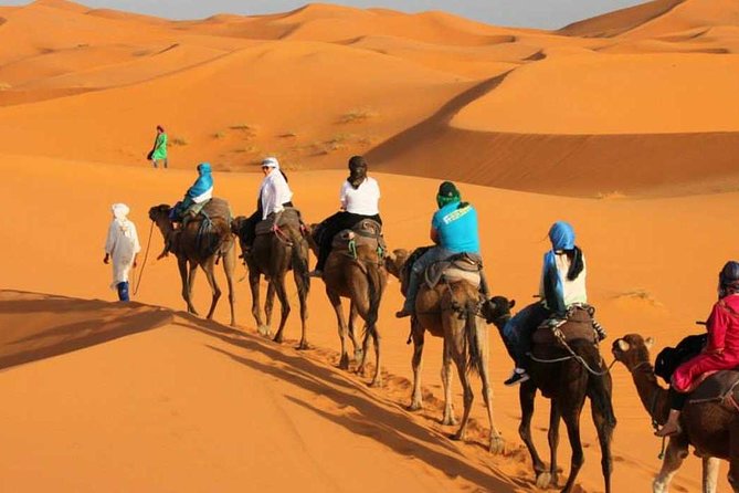 The Magic of the Sahara Desert