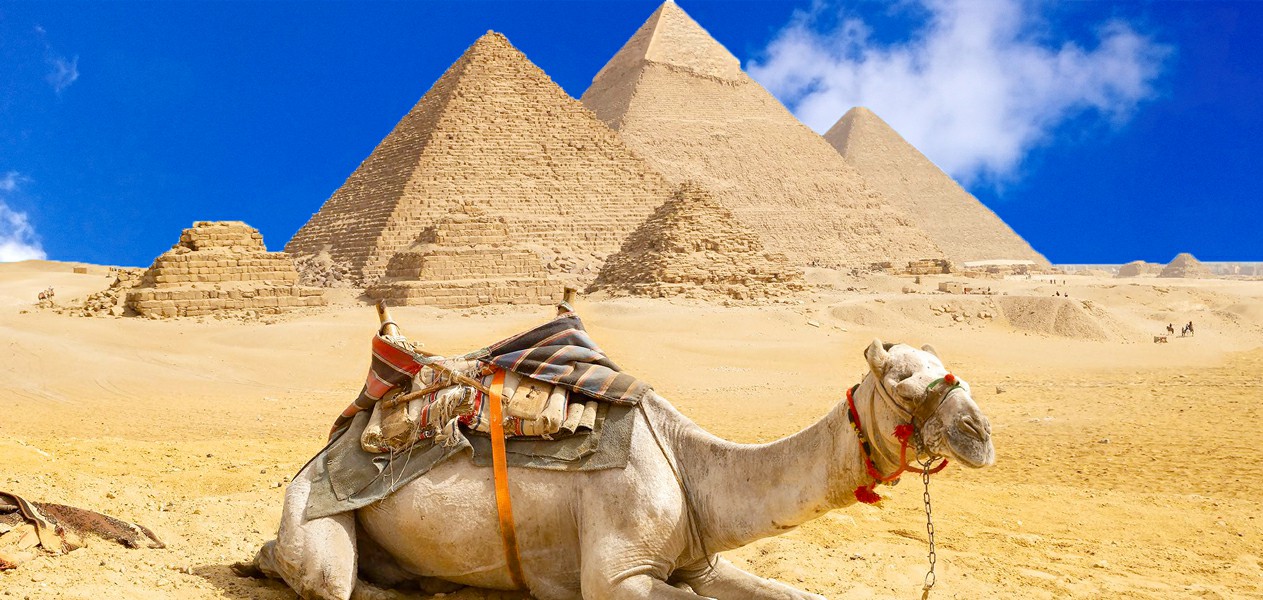 Highlights of Egypt
