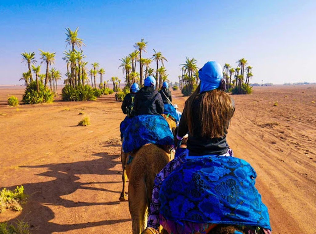 Camel ride in Marrakech Palm Grove