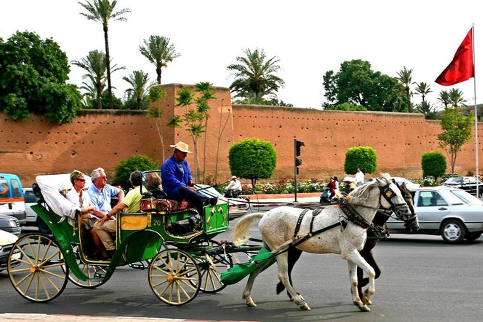 Horse Drawn Carriage Tour