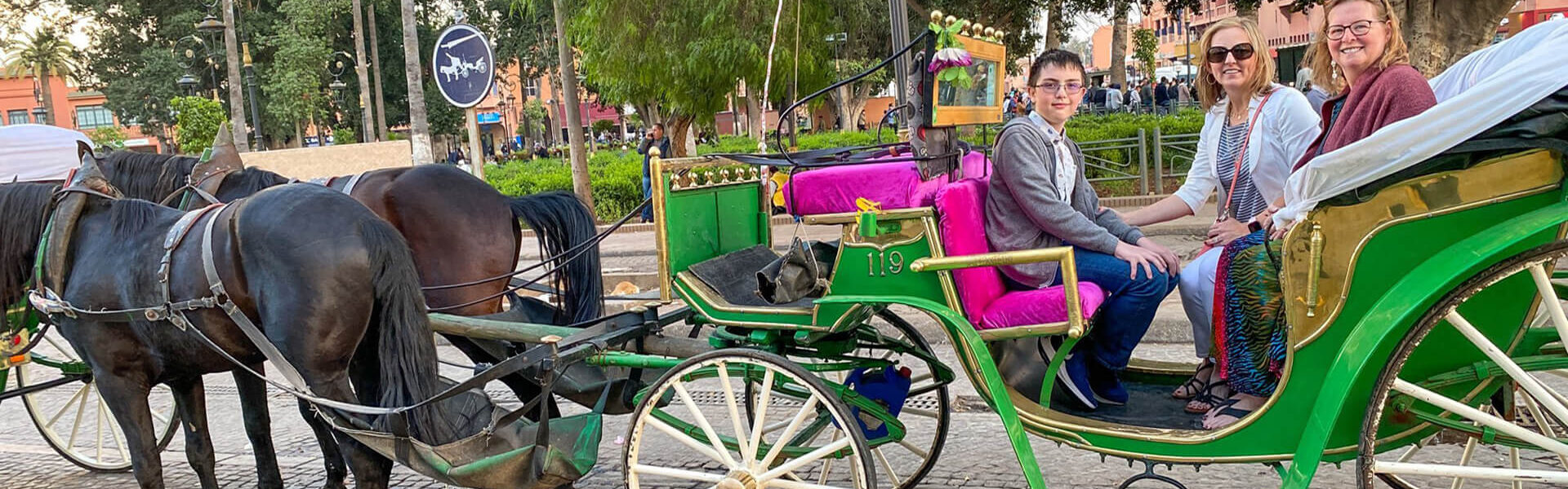 Horse Drawn Carriage Tour