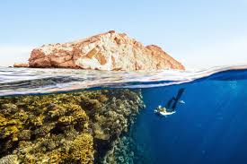 Enjoy a Beach Day by the Red Sea